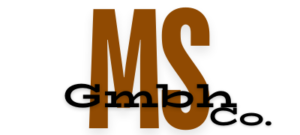 MS GmbH Logo